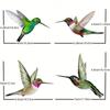 4pcs/set Waterproof Bird Stickers For Cars, SUVs, Pickups, Laptops, And Walls - Decorate Your Vehicle With Adorable Birds