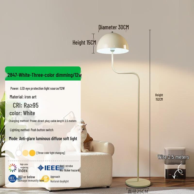Pailide French Vintage Floor Lamp