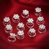12 PCS Crystal Rhinestone Flower Bridal Wedding Hair Pins Hairgrip Accessories Hairdresser Head Hair Braid