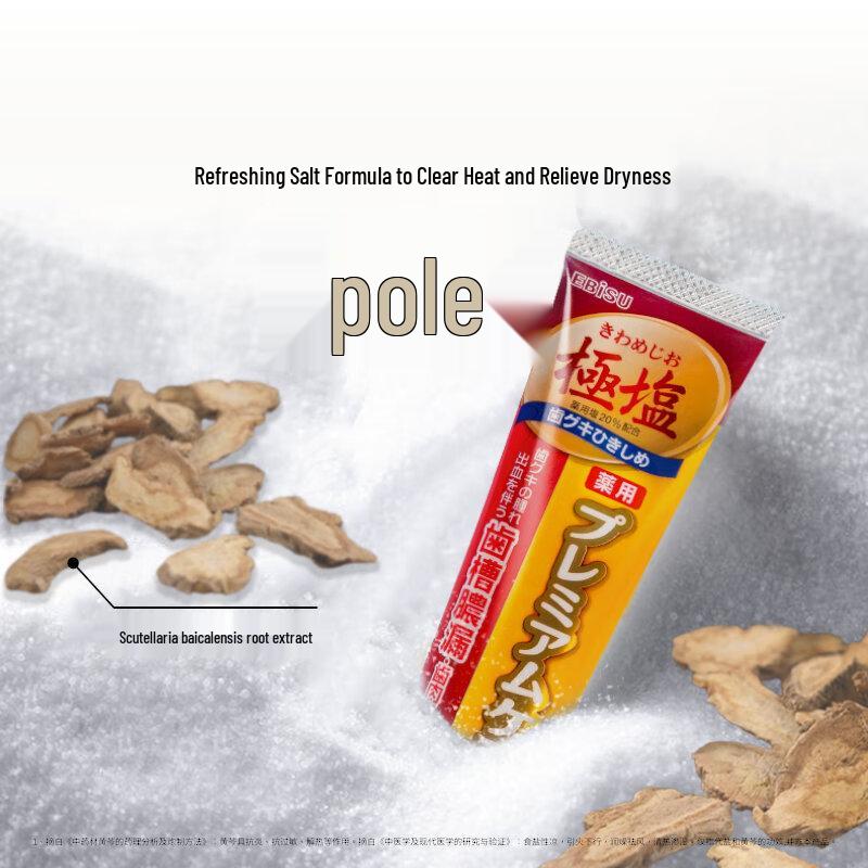 EBISU Japanese Extreme Salt Toothpaste