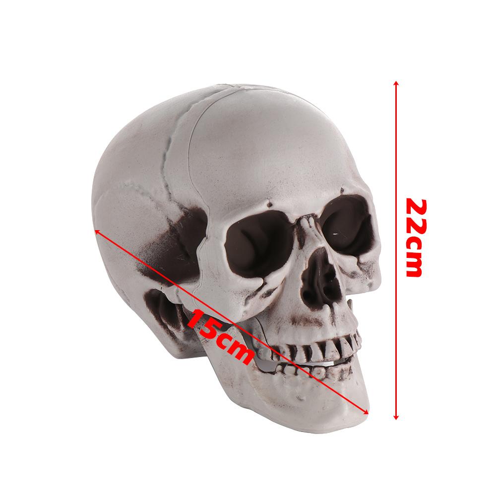 All Size Terrible Human Skeleton Skull Head Halloween Props Skeleton for Bars/Coffee Bars/Haunted Houses/Halloween Party Decor
