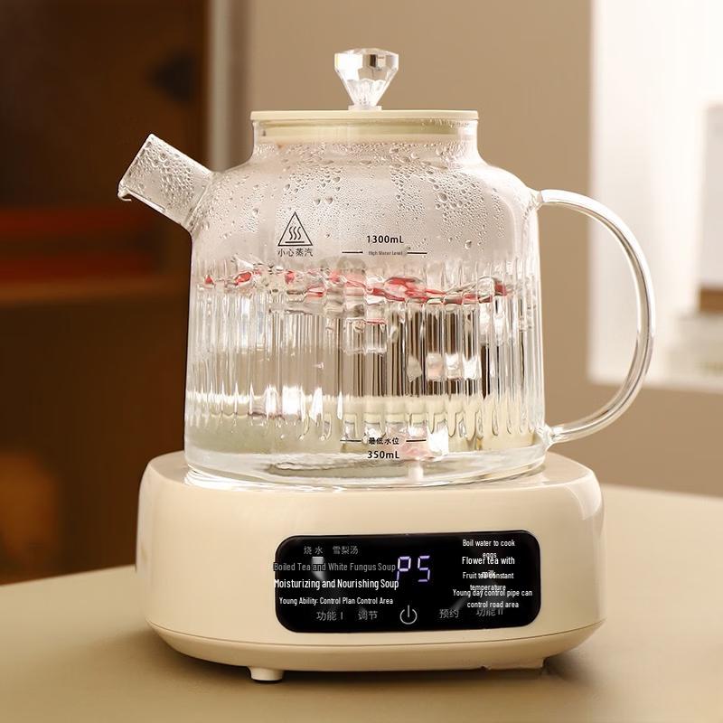 LISM Electric Ceramic Cooker & Health Pot Set