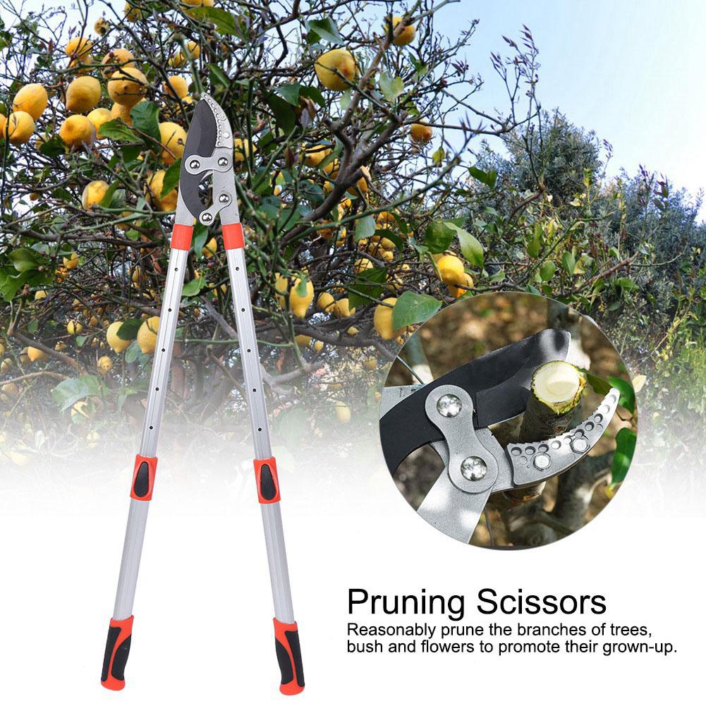 Garden Pruning Shears Plant Tree Flower Trimming Scissors Cutter Pruners Tool