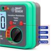 AS907 Electrical Megohmmeter Digital InsulationResistance Tester 250V/500V/1000V For Power Cables, EV Chargers, Oil Fields