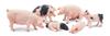 TOYMANY 8-Piece Farm Animal Figure Set, Pig Figures, Parent and Child Figures, Realistic Animal Models, Popular Animal Toys, Birthday Gifts,