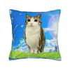 Pillow Cover Cat Owl Funny   Vintage Pillow Case For Chair Sofa Home Decor Pillowcases