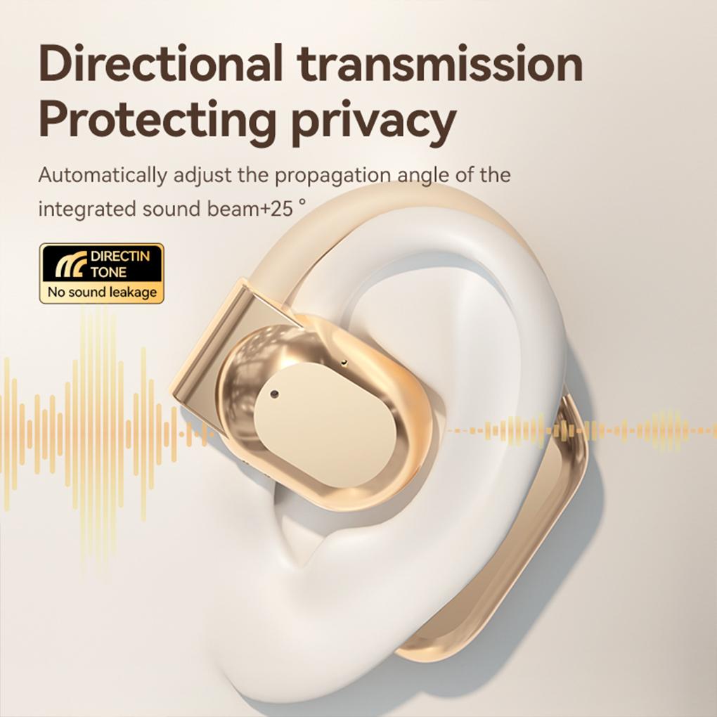 AI Translator Earbuds Bluetooth 5.4 Noise Cancelling Real Time Translator Ear Hook Two-Way Voice Translator for Business Travel