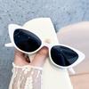 Fashion Women's New Fashion Sunglasses Men Women Trendy Cat Eye Design Sports Sun Glasses Unisex Classic Hip Hop Style Sports Eyewear