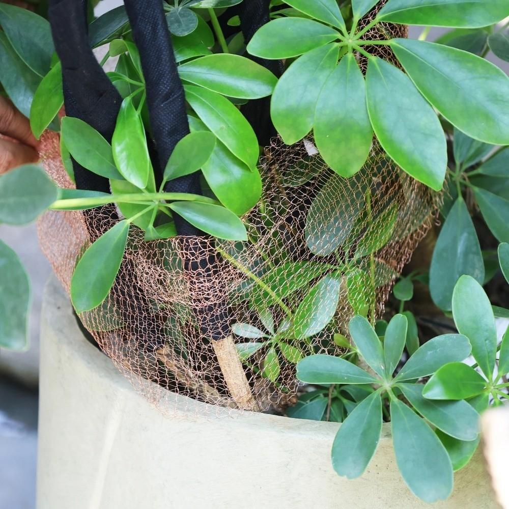 Flexible Copper Tape Anti-Pest Copper Mesh Decorative Mesh Outdoor Durable Anti-snail Copper Wire Wire Protected