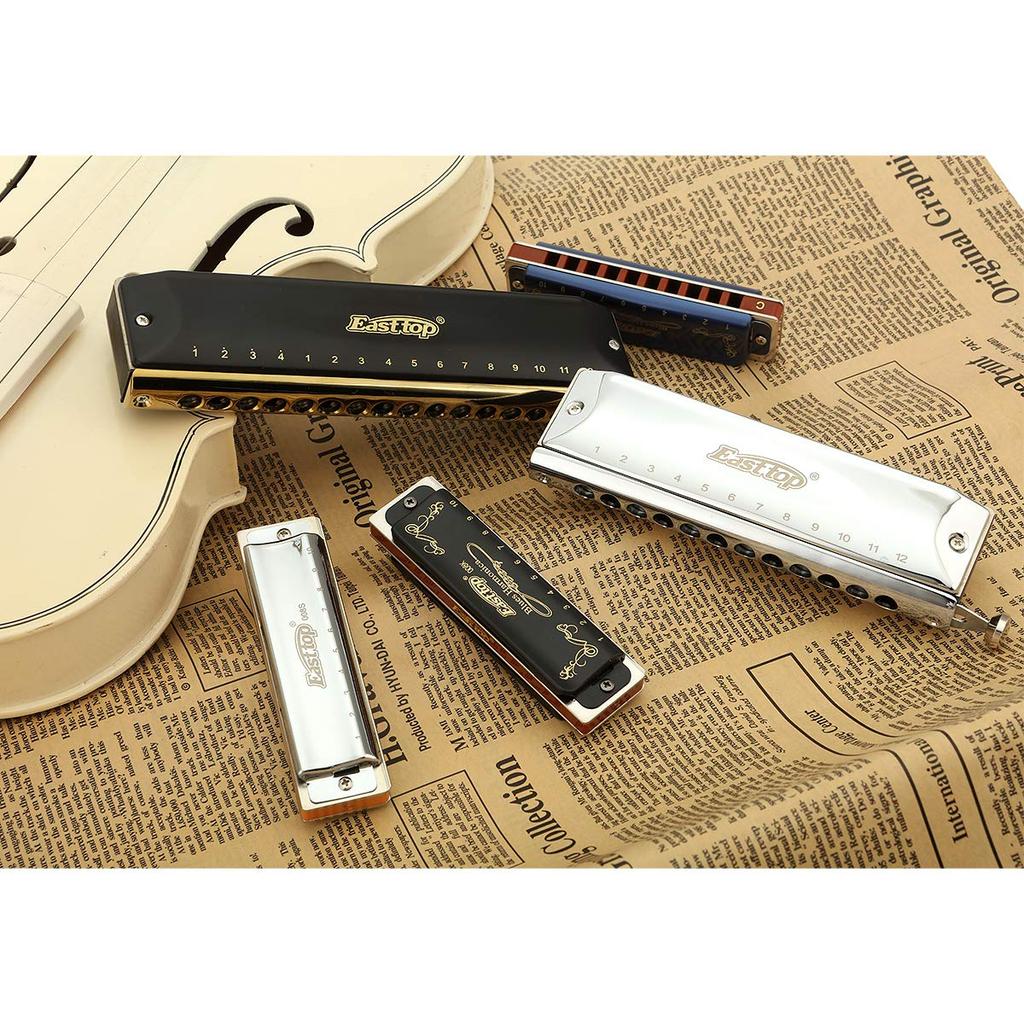 East top Mundharmonika Blues Mundharmonika 10 Loch Mundharmonika G Ton 10 Löcher 20 Töne Messingabdeckung Canvas Etui Reinigungstuch Professionelle diatonische Mundharmonika