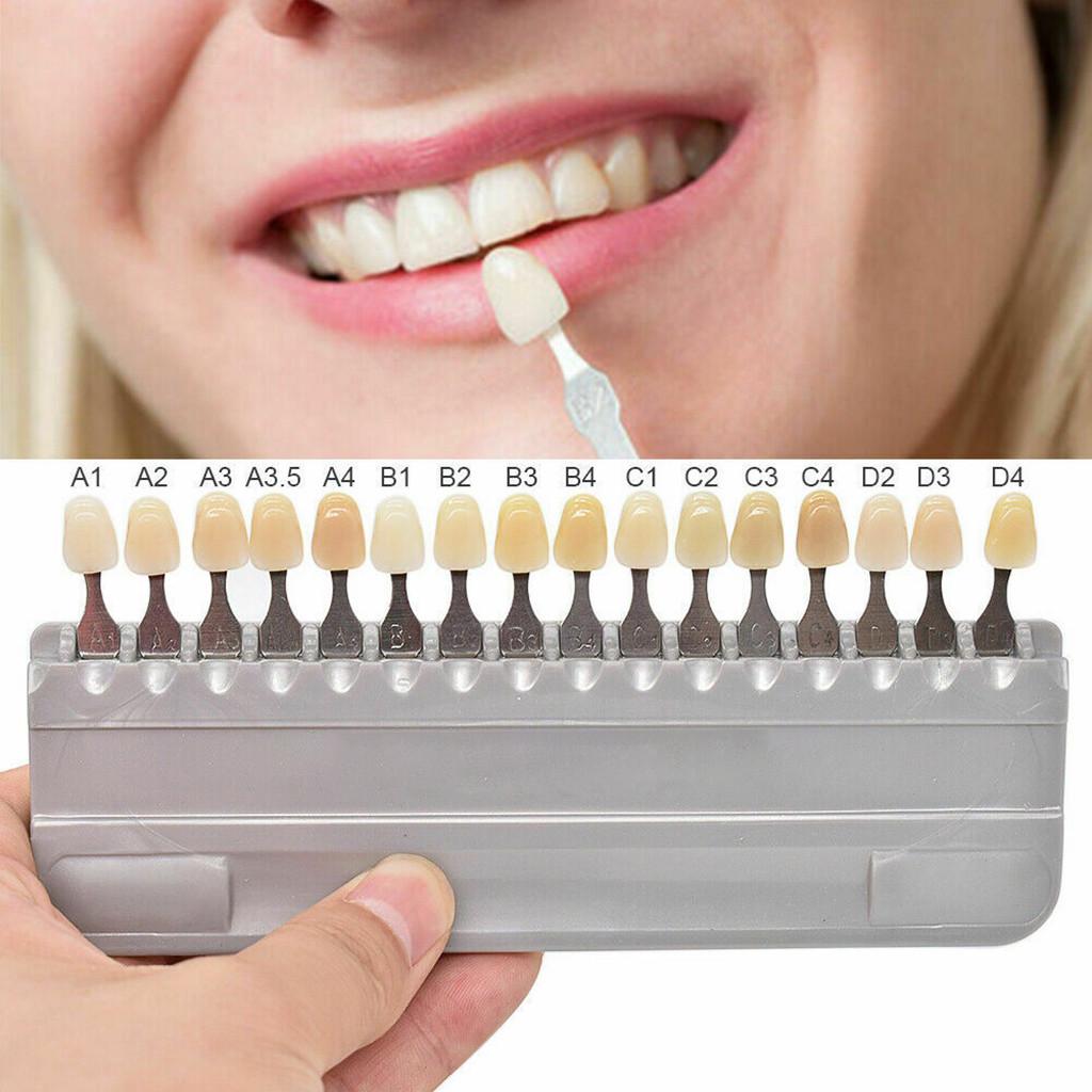 Buy 1 Set Porcelain Dentist Dental Material Equipment Teeth Whiting At 