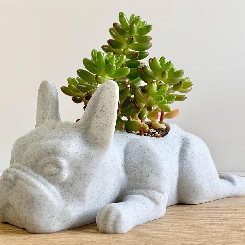Resin Dogs Succulent Planter French dogs Shape Flower Pots Cute Bonsai Flower Pots Succulent Mini Puppy Planter For Home Garden Decor