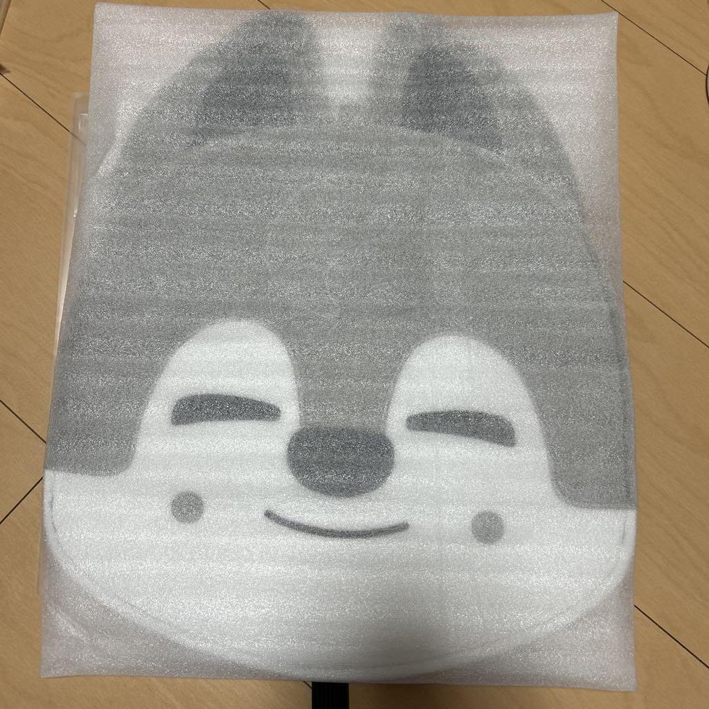 [USED] Stray Kids Wolfchan Bangchan Fan