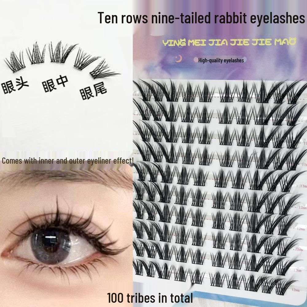 Nine-Tailed Fox Korean Style Eyelash Book: Natural, Segmented, Individual Cluster, Large Capacity 100 Clusters, 10 Rows