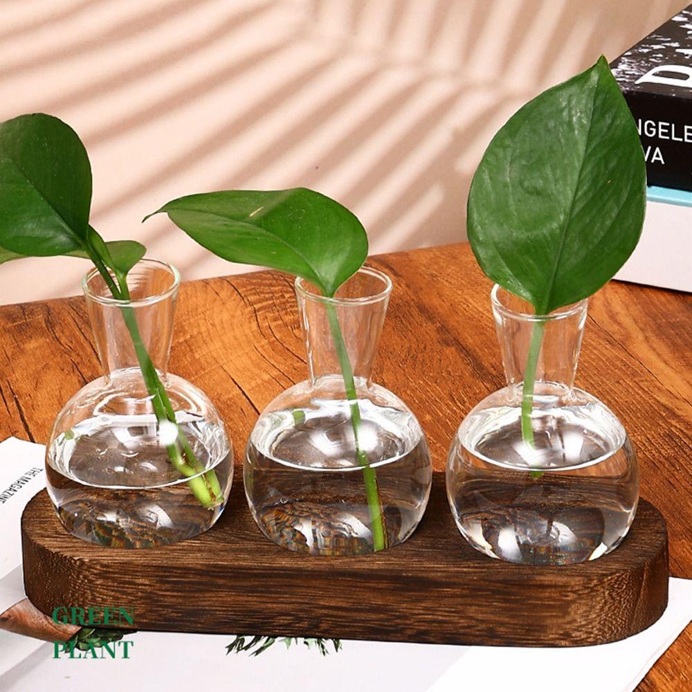 3/5pcs Bottles Plant Terrarium Propagation Station Transparent Glass Planter Bulb Vase Living Room