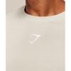 Gymshark LighTweighT Seamless T shirT Pebble Grey whiTe A2c7m Gcf1