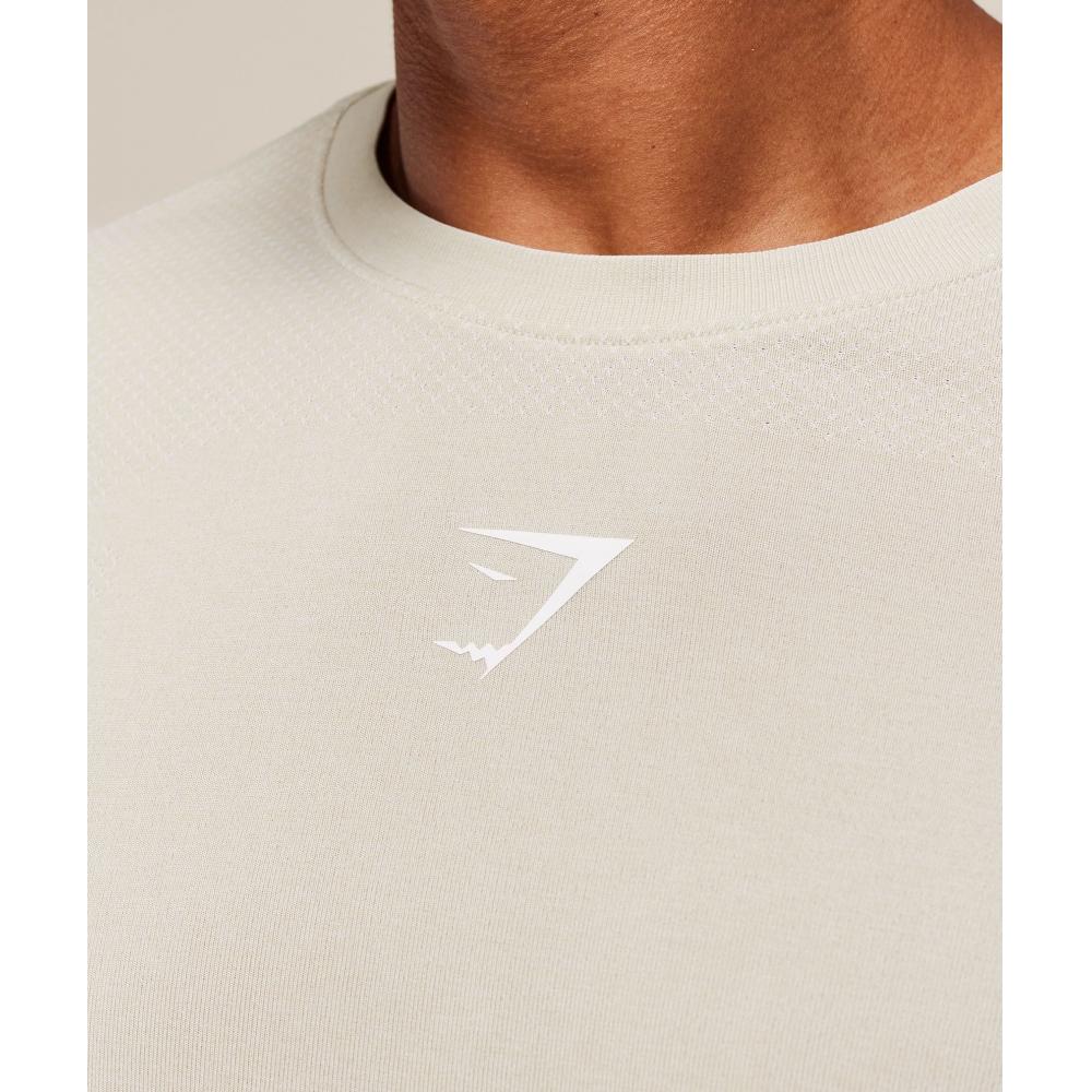 Gymshark LighTweighT Seamless T shirT Pebble Grey whiTe A2c7m Gcf1