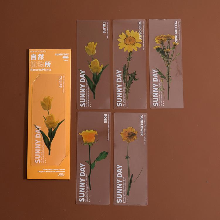

Translucent Bookmark, Natural Plant, Dried Flower, Hand Tent, Reading Book Holder One Size оранжевый