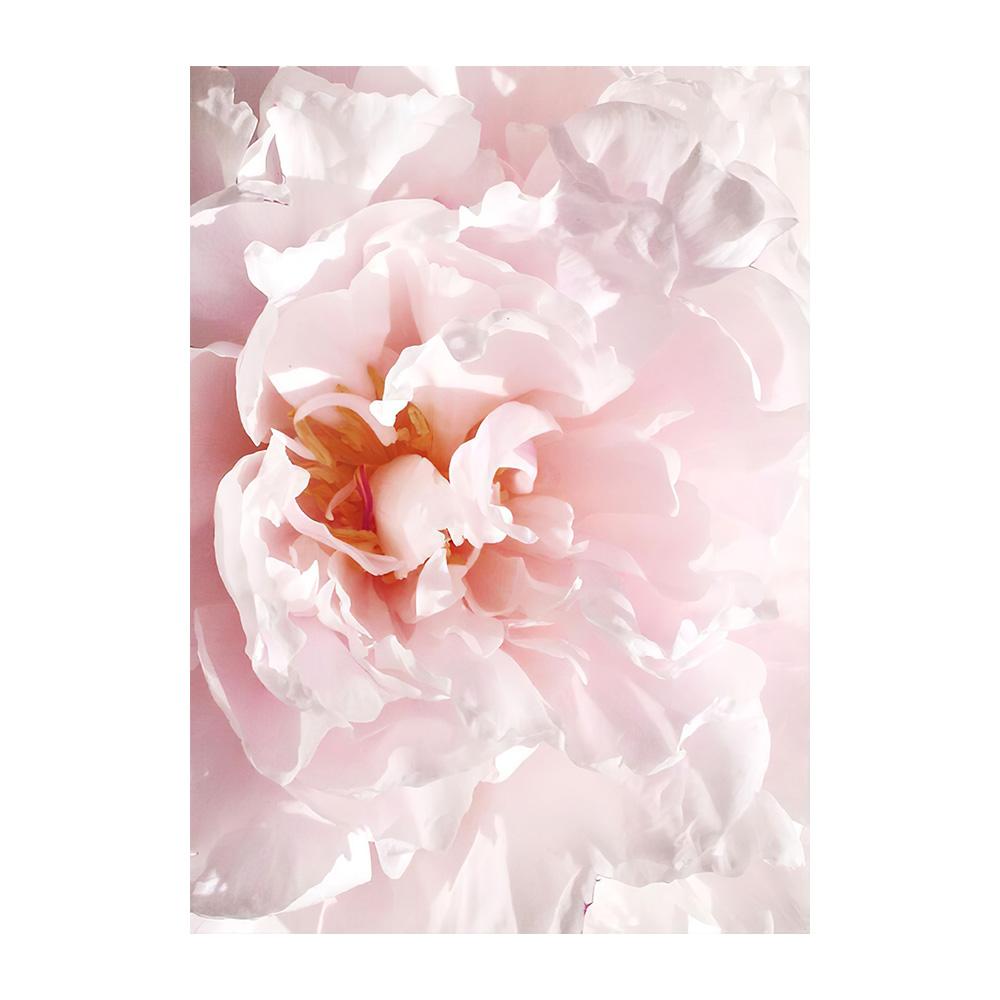 Scandinavian Pink Flower Cherry Blossom Rose Peony Nordic Posters And Prints Wall Art Canvas Painting Wall Pictures For Living Room