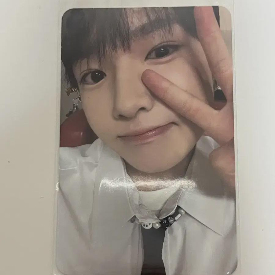 

Nct Wish Sakuya Steady Keyring Photocard