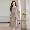 Professional Women's Clothing, Autumn and Winter Suit, Dress Set, Casual Temperament, Long-sleeved Corporate Dress, Two-piece Set, Commuting