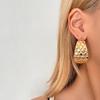 European & American Punk Style C-Shaped Metal Hoop Earrings - Bold, Electroplated, Light Luxury Design.