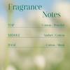 Bouquet Garni Perfume Diffuser – The Original "Soft Cotton" Scent (Fresh Linen & Clean Soap)
