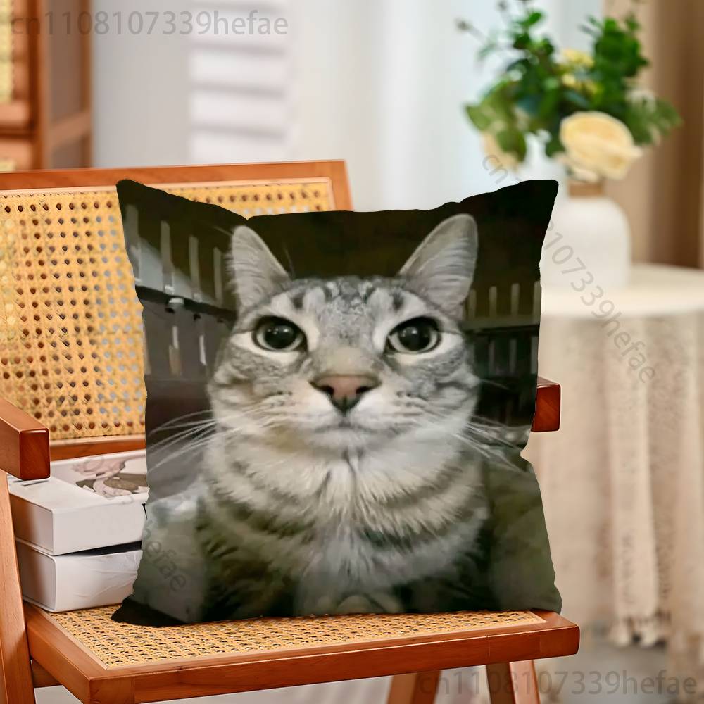 Cat Memes Funny Meme Print Polyester Pillow Case for Valentine Gift Home Sofa Cushion Cover Decoration Custom