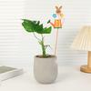 Metal Garden Stake Watering Pot Shape Bee Butterfly Cow Bunny Flowers