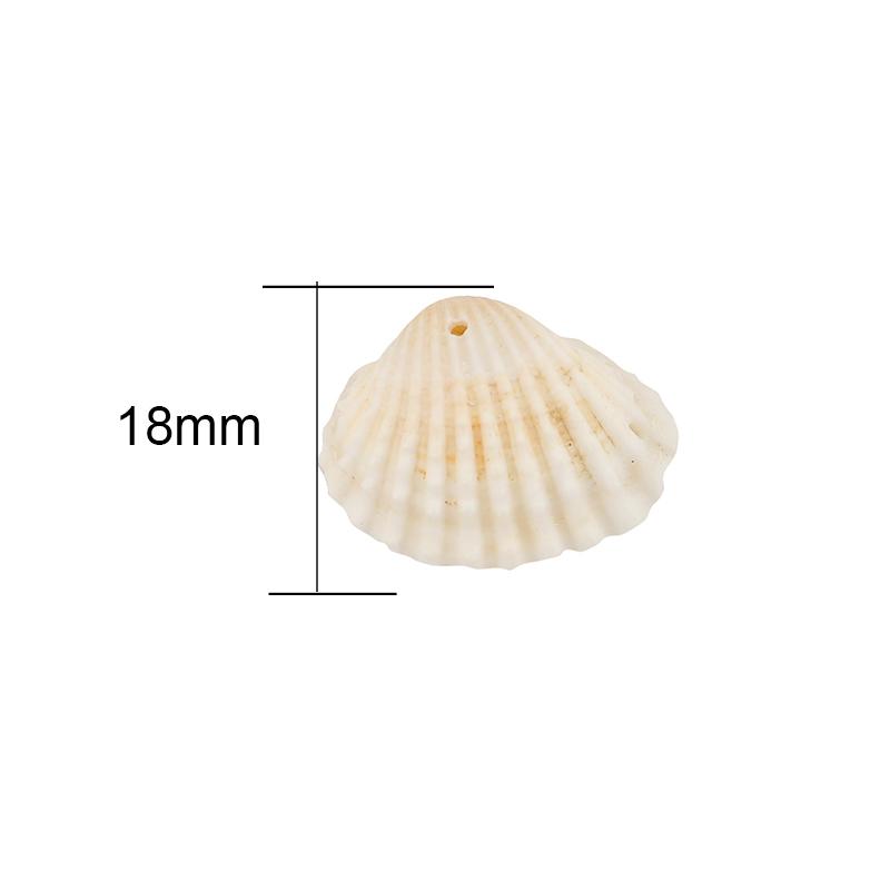 

10pcs Natural Conch Shell Beads Bulk Lot With Hole Earring Necklace Charms Pendants for DIY Bracelet Findings Jewelry Making