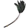 10Pcs Natural Feather Rooster Feather Multicolor Craft Feathers  Wedding Decor