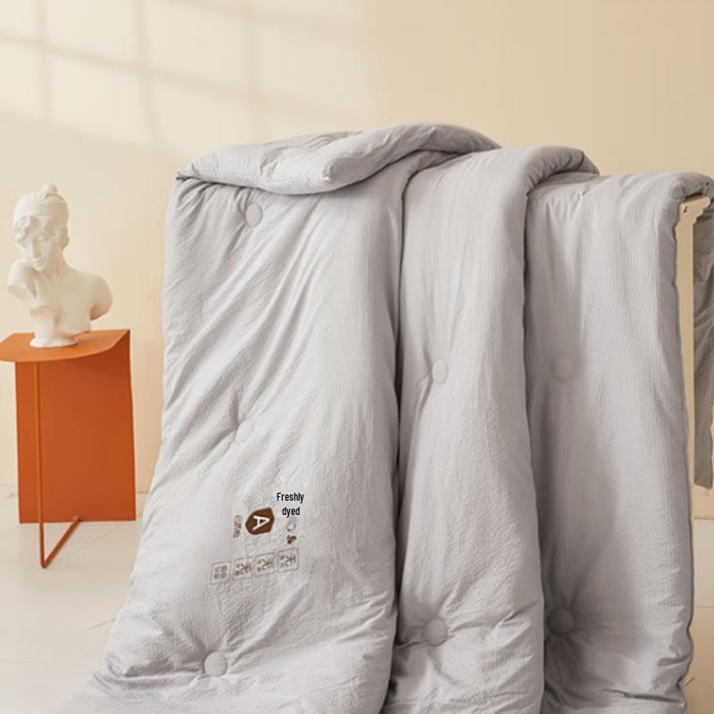 YEKEROLAN Soy Antibacterial Thick Autumn/Winter Quilt