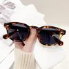 Vintage Fashion Shell Round Sunglasses Women Men 2025 Brand Design Retro Rivet Yellow Blue Lens Square Sun Glasses Female UV400