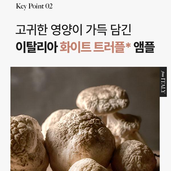 Dropbe – Straffende, strahlende Ampulle, 40 ml