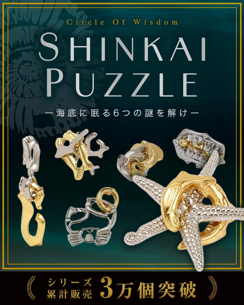 

[NZ-base] Chienowa Brain Teaser Rings for Adults and Kids [Set of 6] Brain Training Puzzles, Knowledge Toys for Seniors and Children