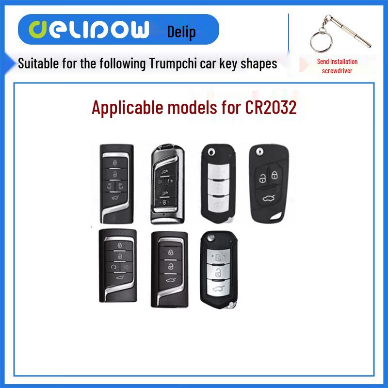 Delipow CR2032 Car Remote Key Battery CN Plug (adapter Included)