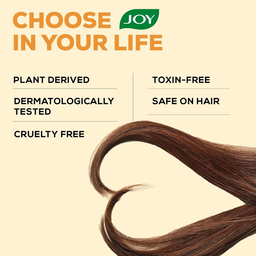 Joy Natural Actives Dandruff Control 4 in 1 Conditioning Shampoo Pack of 2 X 340ml With Argan Ginger Lemon Tea Tree