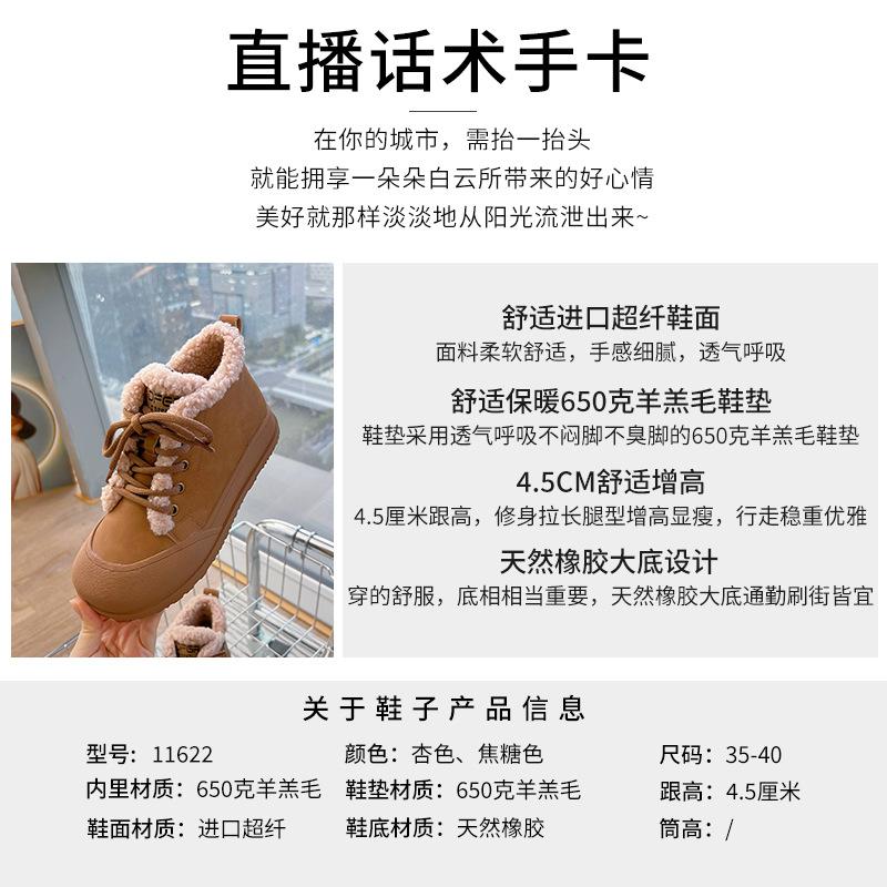 Retro Snow Boots 2025 Winter New Casual Velvet Martin Boots Women's Flat All-match Boots Women's Warm Women's Boots