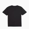 Puma Men S Running Functional Tee 527155 01 02 35
