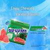 Mentos DONGGAN Square Sugar-Free Gum