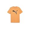 Puma T-shirt 679705