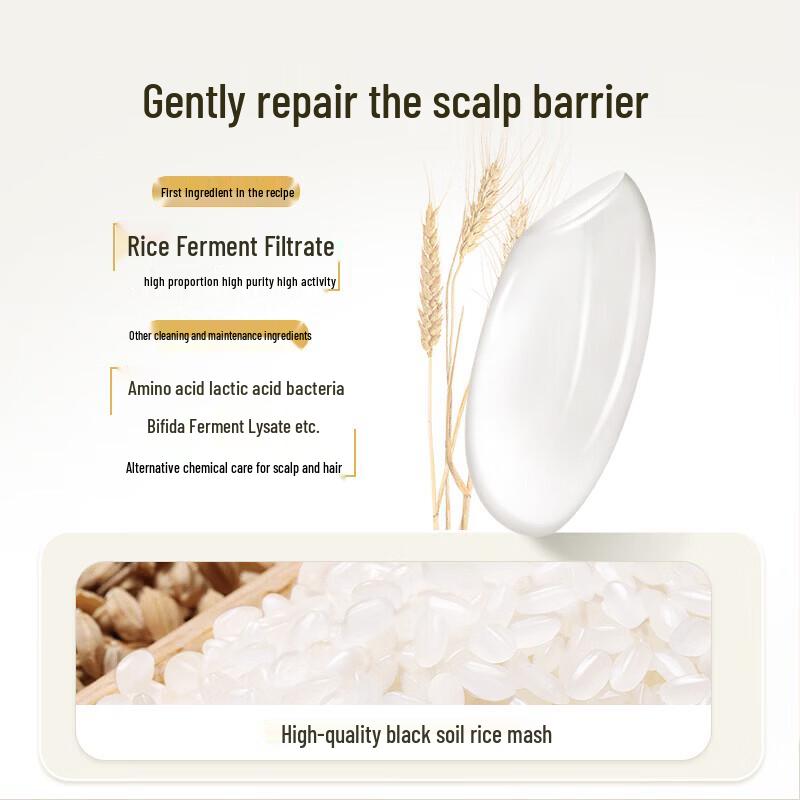 ASAKA Rice Ferment Scalp Care Shampoo