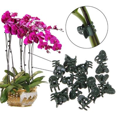 20Pcs Plant Fixed Clip Orchid Stem Vine Support Flower Tied Tree Branch Clamp Vine