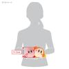 Sanei Boeki Kirby Spiel mit Waddle Dee Plüschtier, Freundschaft, B24 x T10 x H11,5cm, KPWW01