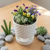 Root Control 3D Printed Flower Pot Plastic Green Onion Pots Eco-Friendly Plant Containers  Indoor