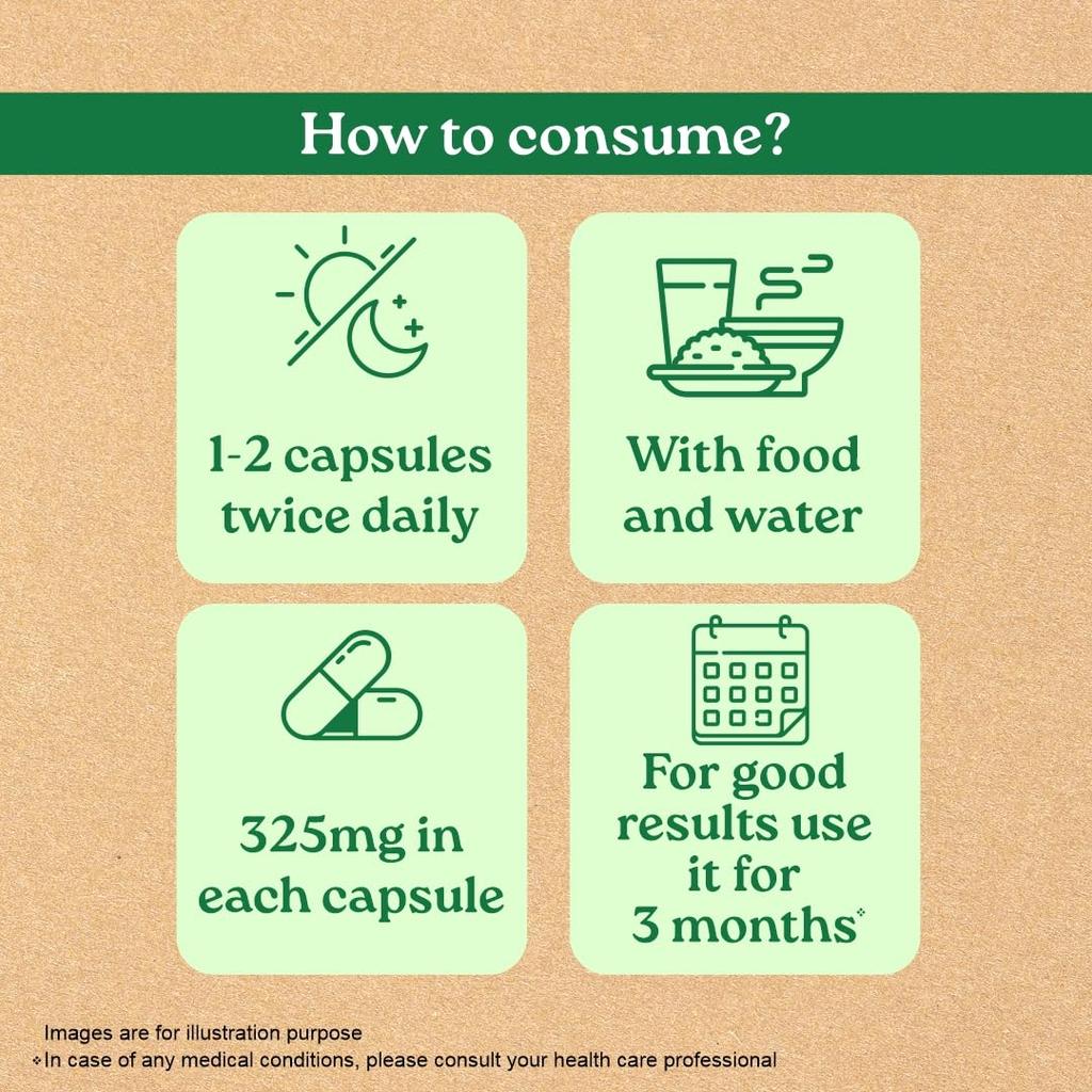 ORGANIC INDIA Weight Balance 60 Veg Kapslí Pro Zdravý Metabolismus A Vyváženou Energii V Rostlinném Složení