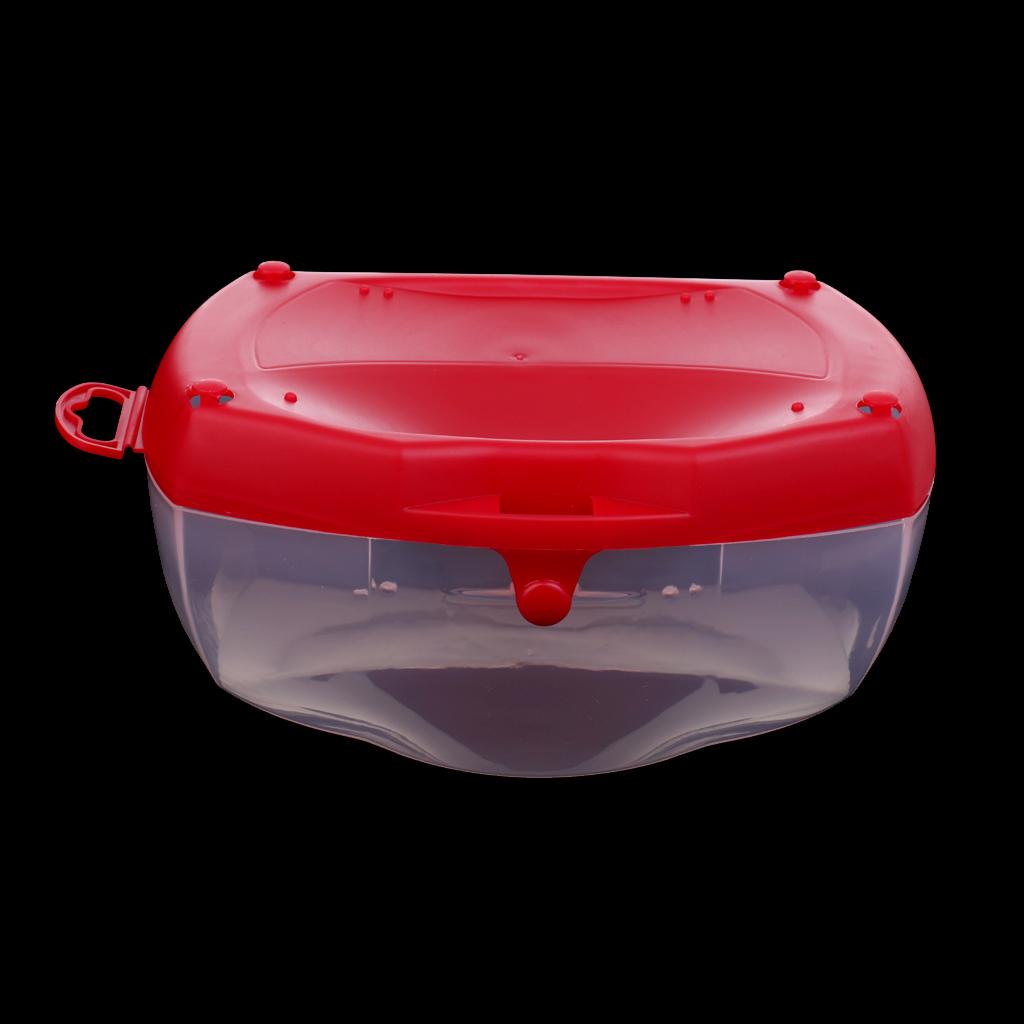 Diving Mask Case Sturdy Plastic Container Snorkel Gear Organizer for Diving Masks and Swimming Goggles 3