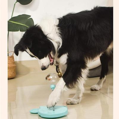 Köpek – Köpek Besleme ve Sulama Malzemeleri