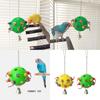 Birdcage Chewing Toy Tearing Puzzle Playful Balls Bird Teething and Grinding Toy Bird Cage Entertainment Hanging Toy