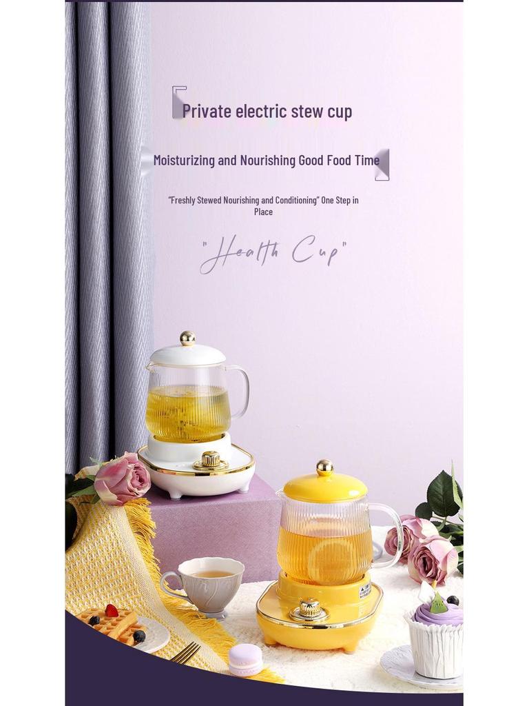 Electric Multifunctional Stew Cup & Kettle: Portable Boiling & Heating for Tea, Bird's Nest, and Health Drinks